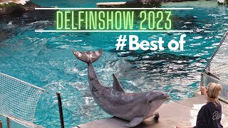 Zoo Duisburg  Best of Delfinshow 2023 [upl. by Acirt]