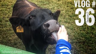 Autism School Field Trip  Cow Tongues and Three Legged Goats  Fathering Autism [upl. by Lleon]