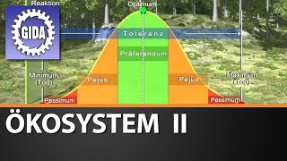 Trailer  Ökosystem II  Biologie  Schulfilm [upl. by Clement]