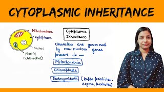 Cytoplasmic inheritance  Maternal Inheritance  Maternal Effect [upl. by Bikales]