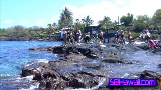 Puuhonua o Hounaunau Hawaii Snorkel at quotTwo Stepquot [upl. by Aneet]