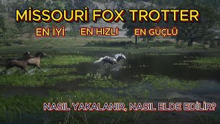 MİSSOURİ FOX TROTTER  RDR2nin En İyi Atı Nasıl Elde Edilir  RED DEAD REDEMPTİON 2 [upl. by Nnaeel]