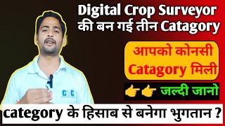 Digital Crop Surveyor की बन गई तीन Category 🥺। आप किस category में हो जल्दी जानो 👈👈 [upl. by Trebuh879]