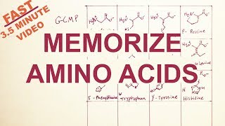 EASYMemorize the Twenty Amino Acids Structure and Code tryptophan correction [upl. by Denzil]