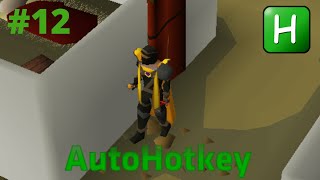 OSRS Botting to Max with AHK  Episode 12 Defenders and Blackjacking [upl. by Correy]