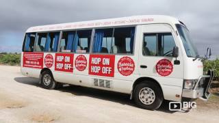 Barossa Explorer a Hop On Hop Off Bus in South Australias Wine Region [upl. by Robbin]