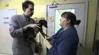 Borat deleted scene  Dog Pound [upl. by Lynda]