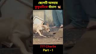 777 Charlie 🐕 movie explain in Bangla I shorts explain ytshorts youtubeshorts facts [upl. by Zack]