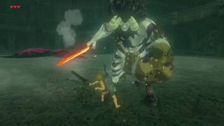 Zelda Breath of the Wild  Silver Lynel Domination NO DAMAGE [upl. by Ative]