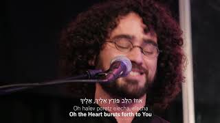 Praises Of Israel  Halev PoretzThe Heart Bursts ForthLive [upl. by Licko]