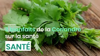 3 bienfaits de la coriandre sur la santé [upl. by Riddle]