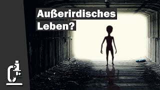 Außerirdisches Leben Hypothesen und Spekulationen in der Astrobiologie  Dr Boris Schmidtgall [upl. by Drummond]