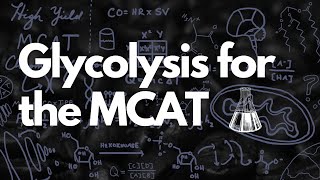 MCAT Glycolysis Need to Knows Quick Facts  Glycolysis Pathway  MCAT [upl. by Yssep]