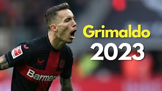 Alejandro Grimaldo  Skills and Goals 2023 Bayer Leverkusen [upl. by Nylarad92]