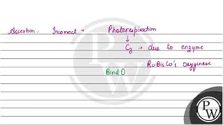 Assertion Photorespiration is found in all plantsReason InampnbspC4 plants firstampnbspCO2 fix [upl. by Moffitt]