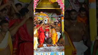 ADHARA PANA RITUALS OF LORD JAGANNATH AND HIS SIBLINGS HELD ATOP CHARIOTS hindufestival rathyatra [upl. by Enilehcim]