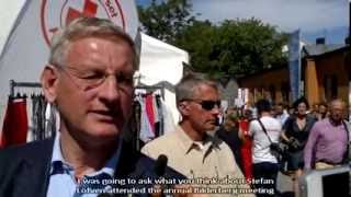 Carl Bildt confronted about Bilderberg English Subtitle [upl. by Feirahs356]