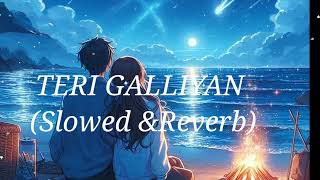 Teri Galliyan Slowed and Reverb [upl. by Hazel12]