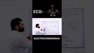 ECG  Electrocardiogram  biology shorts youtubeshorts trendingshorts viralshorts ecg facts [upl. by Ennove]