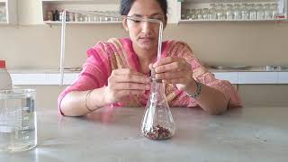 CARBON DIOXIDE IS RELEASED DURING RESPIRATION PRACTICAL CLASS X NCERT [upl. by Ahsla]