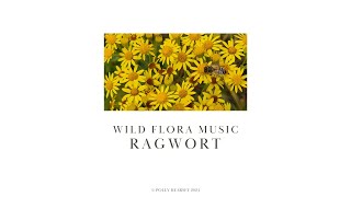 Wild Flora Music Ragwort [upl. by Dnomsaj]