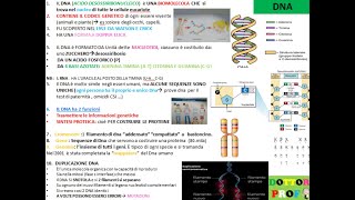 DNA tutte le cose più importanti da sapere riassunto semplice x scuole medie [upl. by Pahl]