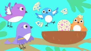 Treetop Family Episode 1  Hello Baby Sparrows  Cartoon For Children [upl. by Inihor36]