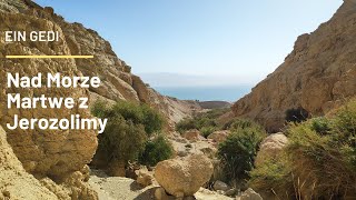 Zwiedzanie Izraela  Rezerwat Ein Gedi  wycieczka z Jerozolimy [upl. by Rattan103]