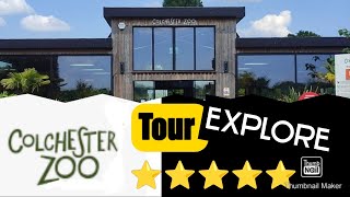 Colchester Zoo Tour Explore  100s of animals  Worth Visiting 👍 Best Zoo in the UK zoo animals [upl. by Washington20]