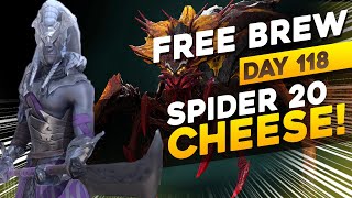 CHEESING SPIDER 20 AUTO  PARAGON  ARMIGER COMBO  DAY 118 F2P  RAID SHADOW LEGENDS [upl. by Stedt355]