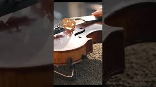 The Ultimate Guide To Stradivarius Violins Unleashing Perfection In Strings youtubeshorts shorts [upl. by Accebor59]