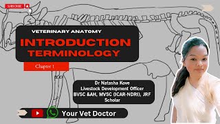 Veterinary Anatomy Introduction  Introduction terminology Veterinary anatomy [upl. by Saw]