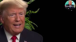 Between two Ferns Trump amp Zach Galifianakis [upl. by Otcefrep]