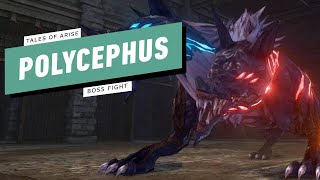 Tales of Arise Gameplay Walkthrough  Boss Fight Polycephus [upl. by Geithner]