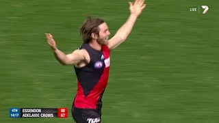 Essendon Highlights  Rd 14 2014 v Adelaide [upl. by Kato539]