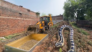 Anaconda Gaint Snake Found In JCB Working Place  Loading Mud With Big Snake During In Soil  snake [upl. by Harlan463]