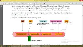 Physiologie rénale 3 Urines [upl. by Suivatco]