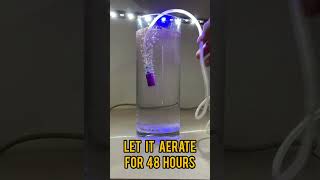 Brine shrimp hatchery aquariumculture brineshrimphatchery guppyfry bettafry guppyfishcare [upl. by Leumas]