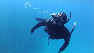 Marsden Cove Spearfishing  Taihuruhuru Whangarei heads New Zealand [upl. by Rinee]