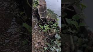 This starts to feel like a problem Arriving at Rickmansworth britishwaterways grandunioncanal [upl. by Eramal]