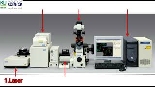 หลักการและขั้นตอนการใช้งานกล้อง Confocal Laser Scanning Microscope CLSM [upl. by Arednaxela635]