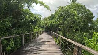 Walk to the beach  Grand Palladium Imbassaí Resort amp Spa [upl. by Patman]