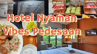 REVIEW HOTEL OAK TREE EMERALD SEMARANGHOTEL MURAHVIBES WAHBERBAUR KE ALAMreviewhoteltourism [upl. by Nailil]