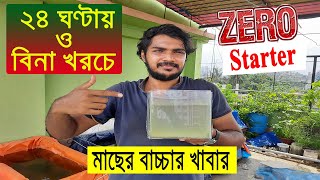 ১ দিনের মধ্যে কোন কিছু ছাড়াই বিনা খরচে মাছের বাচ্চার খাবার। Fish baby food without starter [upl. by Rafaellle]