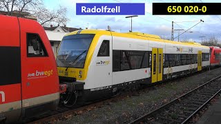 Radolfzell am Bodensee BR650 mit neuer Farbgebung im bwegt Design 🟨⬛⬜ [upl. by Aniela790]