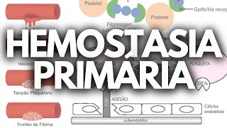 HEMOSTASIA PRIMÁRIA hematologia [upl. by Cullan]