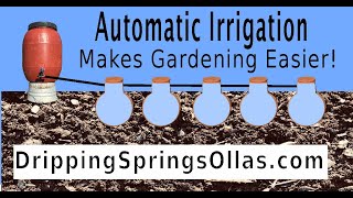 Automatic Irrigation with Dripping Springs OLLAS [upl. by Halian]