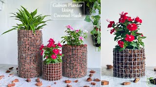 How to Make Mini Gabion Planters For Your Indoor Space  Gabion Planter Making IdeasGREEN DECOR [upl. by Weissmann]