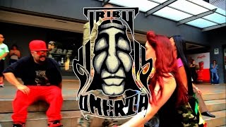 COLONIA LATINA  TRIBU OMERTA  MUGRE FT TONI P Y MELISSA [upl. by Justine]