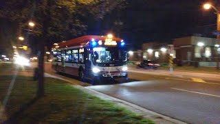 TTC New Flyer XDE40 Short Night Bus Actions on Route 45 Kipling [upl. by Acissaj]